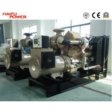 300KVA Diesel Generator Set 60Hz (HF240C1)